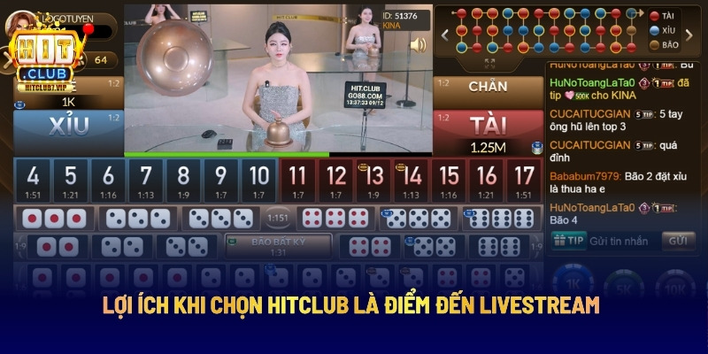 Lợi Ích Khi Chọn Hitclub Là Điểm Đến Livestream